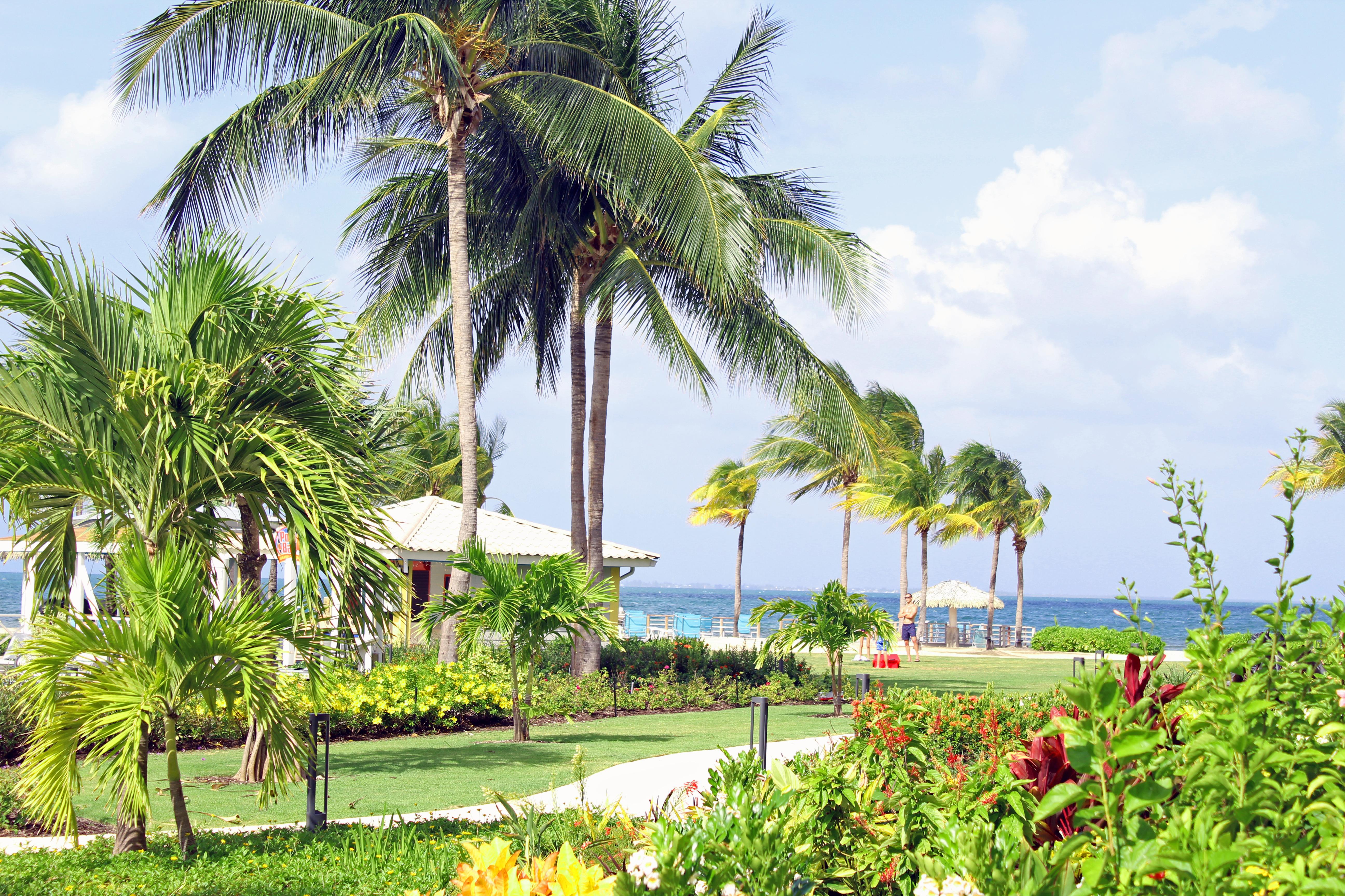 The Grand Caymanian Resort จอร์จทาวน์ ภายนอก รูปภาพ
