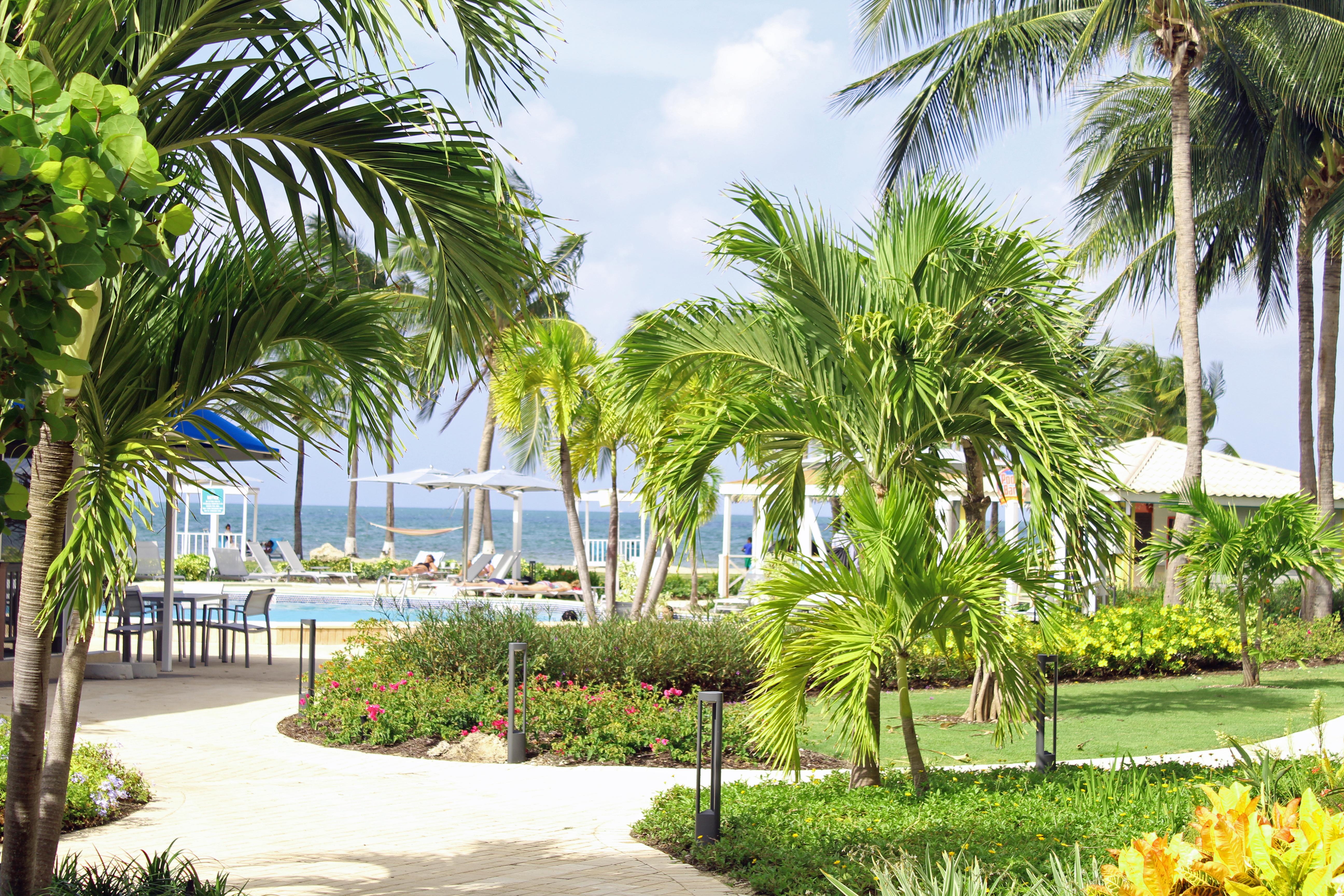 The Grand Caymanian Resort จอร์จทาวน์ ภายนอก รูปภาพ